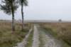 kampina_024_small.jpg