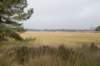kampina_025_small.jpg
