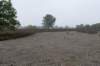 kampina_026_small.jpg