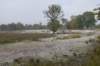 kampina_027_small.jpg
