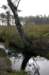 kampina_028_small.jpg