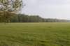 kampina_029_small.jpg