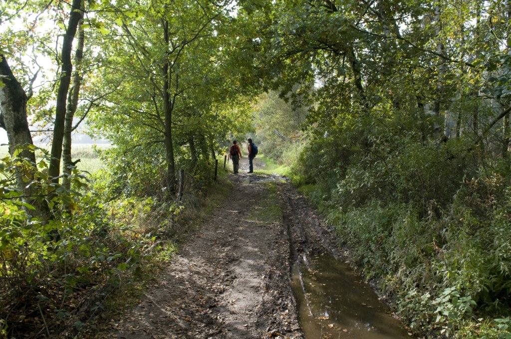 kampina_030.jpg