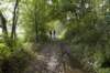 kampina_030_small.jpg