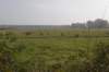 kampina_031_small.jpg
