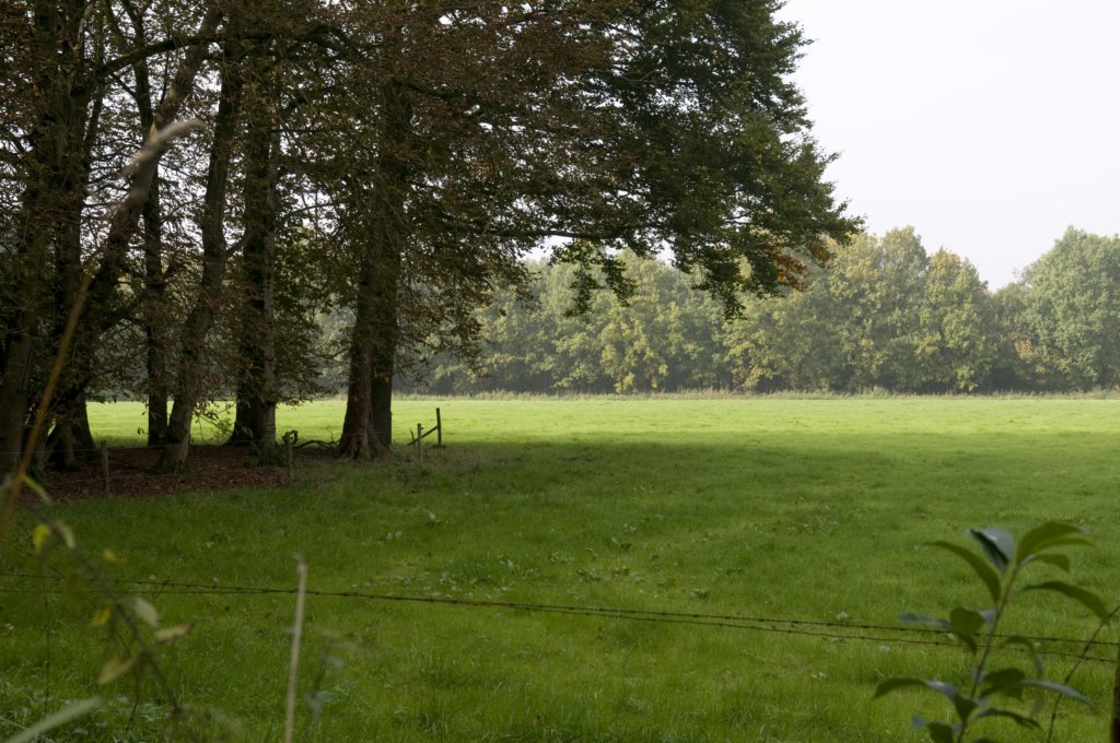 kampina_032.jpg