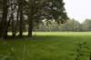 kampina_032_small.jpg