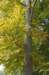 kampina_033_small.jpg