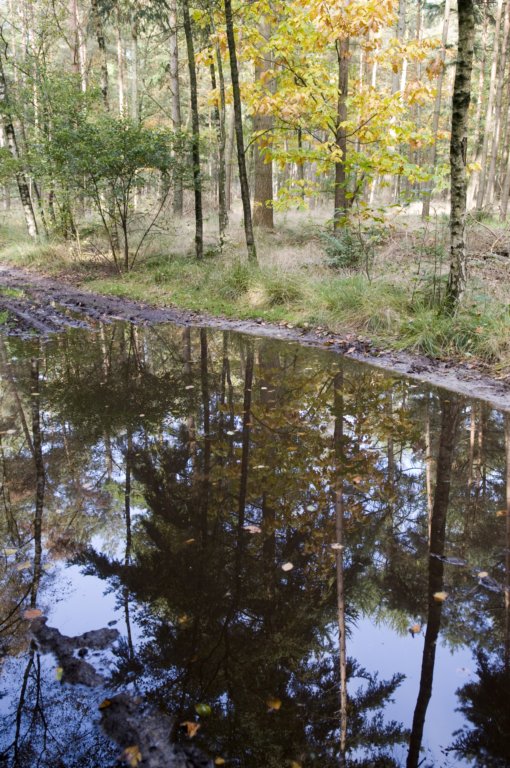 kampina_034.jpg