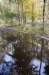 kampina_034_small.jpg