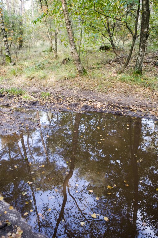kampina_035.jpg