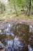 kampina_035_small.jpg