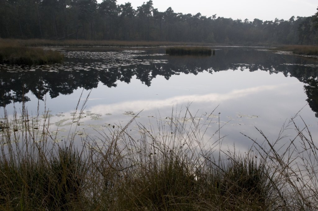 kampina_041.jpg