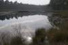 kampina_042_small.jpg