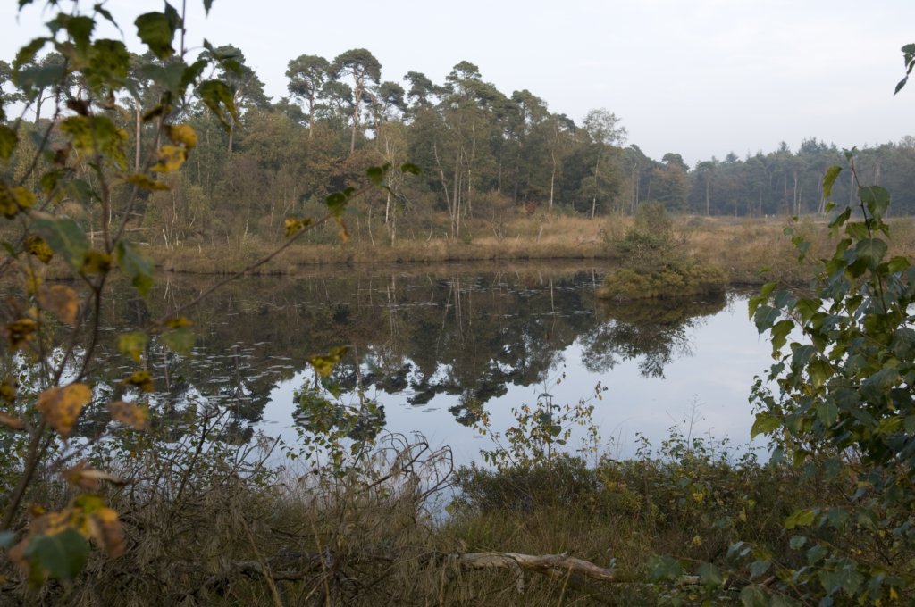 kampina_045.jpg