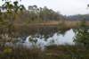 kampina_045_small.jpg