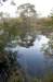 kampina_047_small.jpg