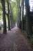kampina_048_small.jpg