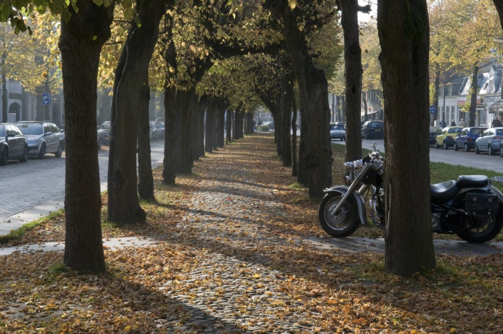 kampina_053.jpg