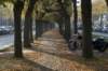 kampina_053_small.jpg