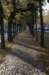kampina_054_small.jpg
