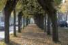 kampina_055_small.jpg