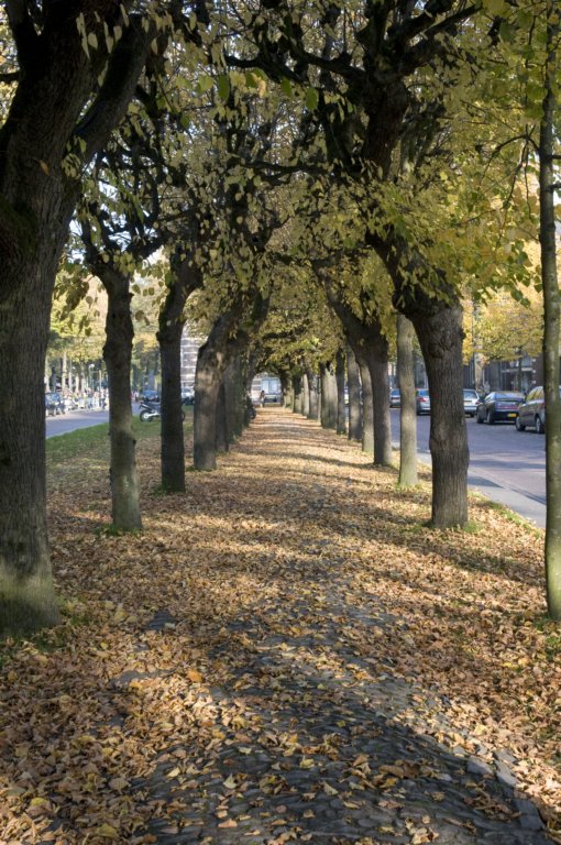 kampina_056.jpg