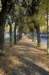 kampina_056_small.jpg