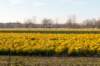 kampina2013_003_small.jpg