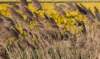 kampina2013_007_small.jpg