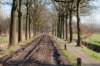 kampina2013_008_small.jpg