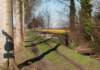 kampina2013_009_small.jpg