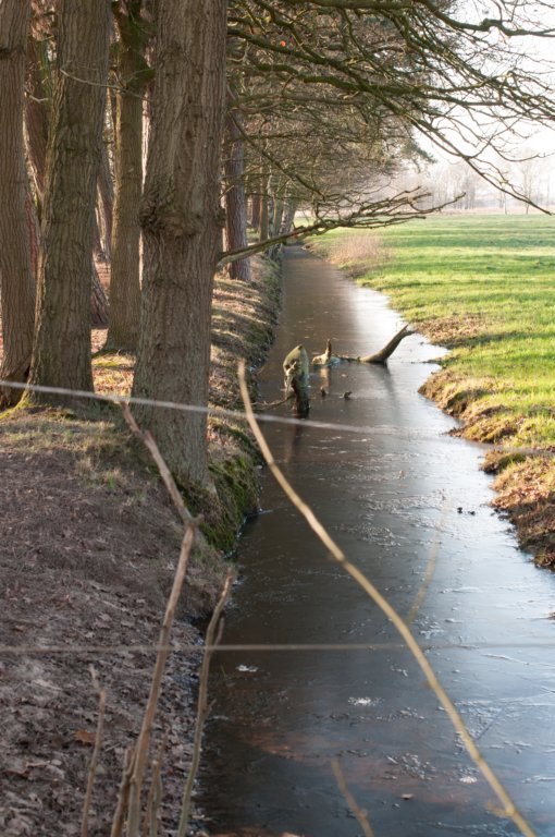 kampina2013_011.jpg
