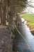 kampina2013_011_small.jpg
