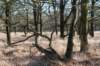 kampina2013_012_small.jpg