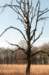 kampina2013_013_small.jpg