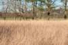 kampina2013_016_small.jpg