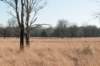kampina2013_017_small.jpg