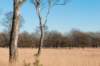 kampina2013_018_small.jpg