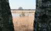 kampina2013_020_small.jpg