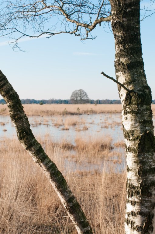 kampina2013_022.jpg