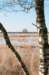 kampina2013_022_small.jpg