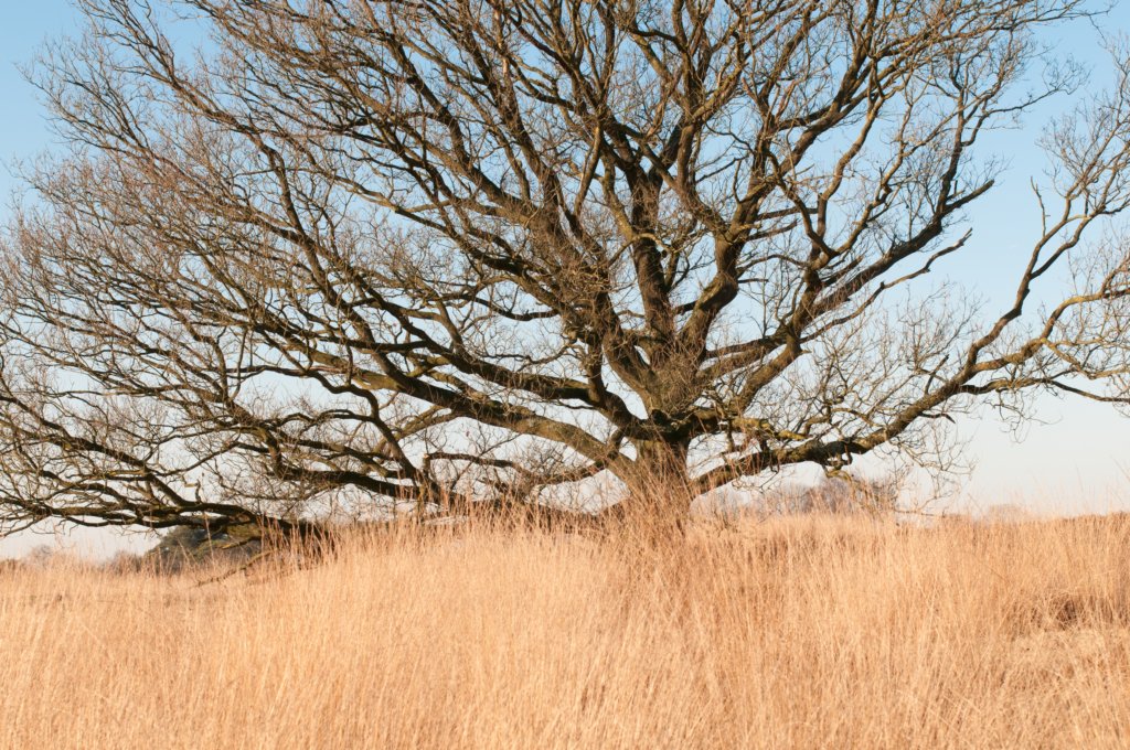 kampina2013_026.jpg