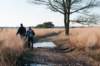 kampina2013_027_small.jpg