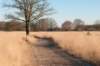kampina2013_028_small.jpg