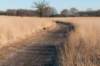 kampina2013_029_small.jpg