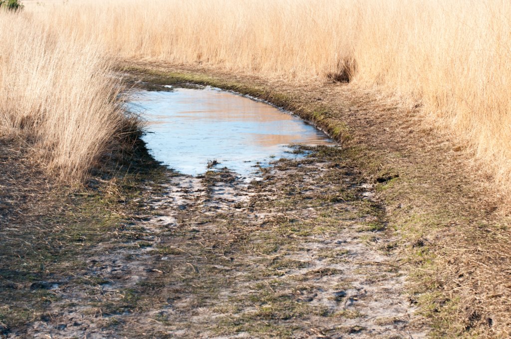kampina2013_030.jpg