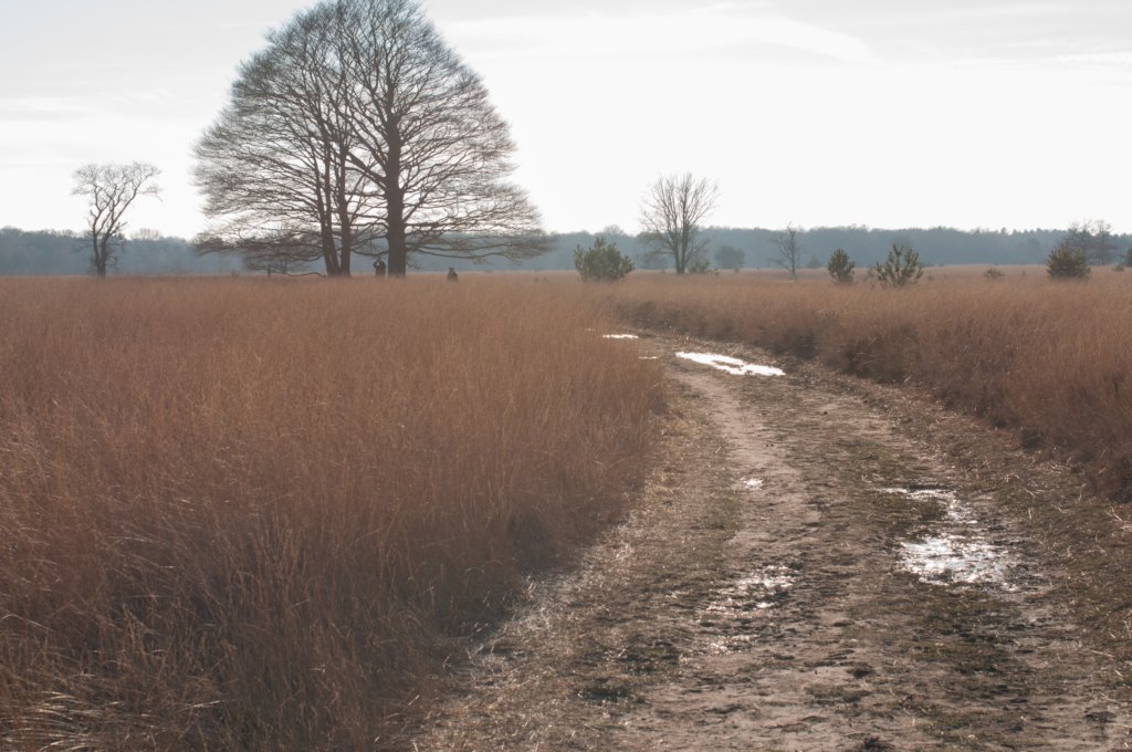 kampina2013_032.jpg