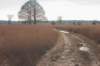 kampina2013_032_small.jpg