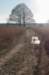 kampina2013_033_small.jpg